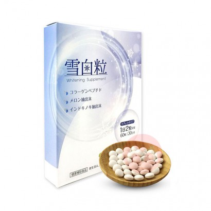 ISDG �ձ�ISDGѩ���������� 60��