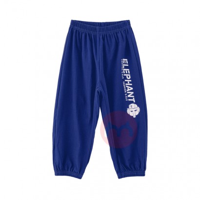 49.9ѡ3SHINING ELEPHANT ѤͯñС...
