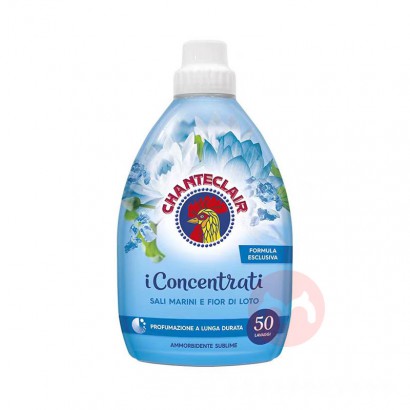 CHANTECLAIR 󹫼ܼ˳ ɫ 1000ml Ȿԭ