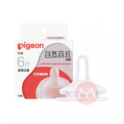 Pigeon Ӥ׶Ȼ 6+