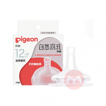 Pigeon Ӥ׶Ȼ 12+
