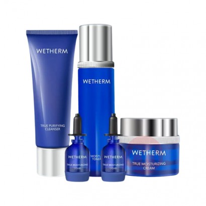 WETHERM �±�Ȫ����ʪ���5����